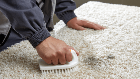 Professional Rug Cleaning Lake Wendouree